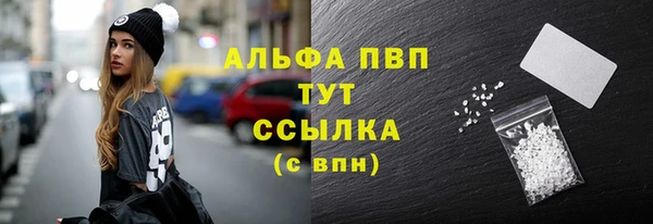хмурый Дмитров