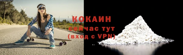мескалин Дмитриев