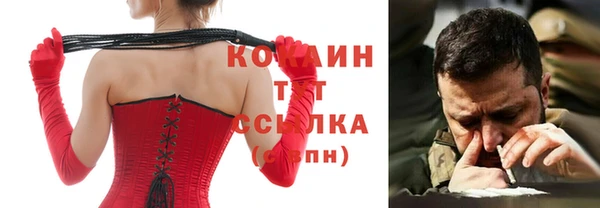 хмурый Дмитров