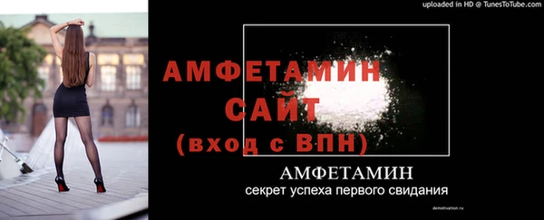 хмурый Дмитров