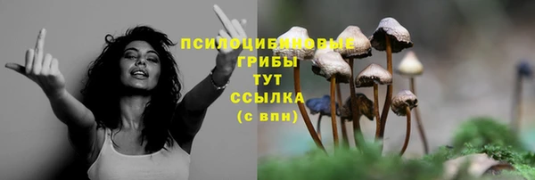 мескалин Дмитриев