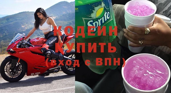 хмурый Дмитров
