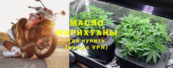 хмурый Дмитров