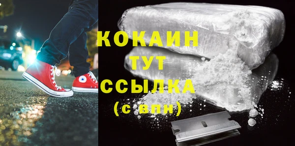 хмурый Дмитров