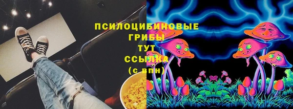 хмурый Дмитров